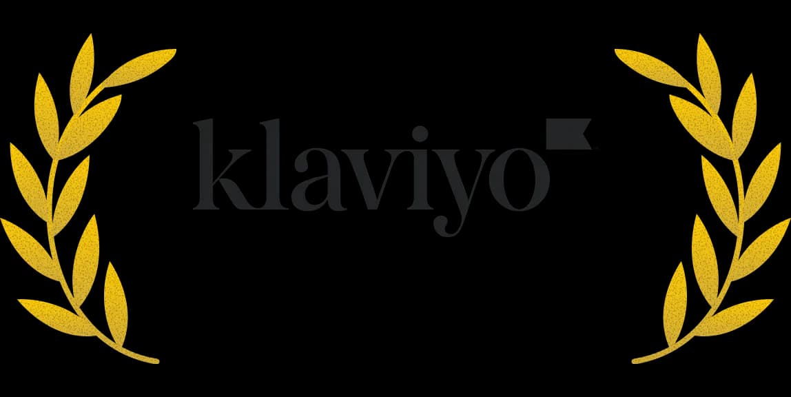 Klaviyo Master Platinum Partner